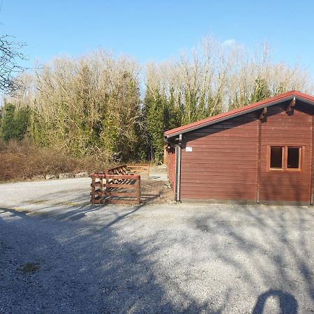 Red Squirrel Lodge Γκάλγουεϊ Εξωτερικό φωτογραφία