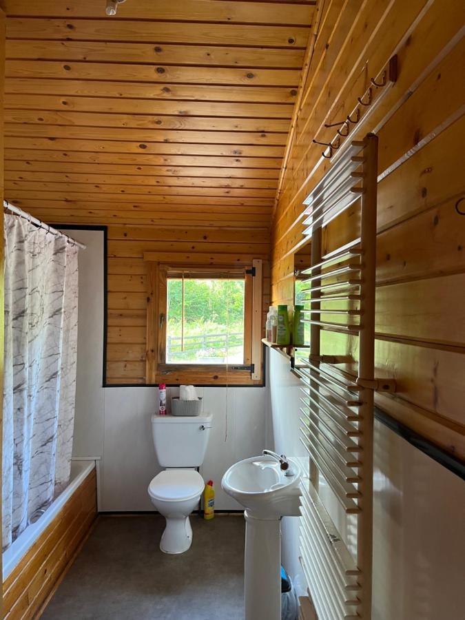 Red Squirrel Lodge Γκάλγουεϊ Εξωτερικό φωτογραφία