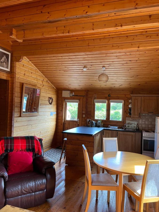 Red Squirrel Lodge Γκάλγουεϊ Εξωτερικό φωτογραφία