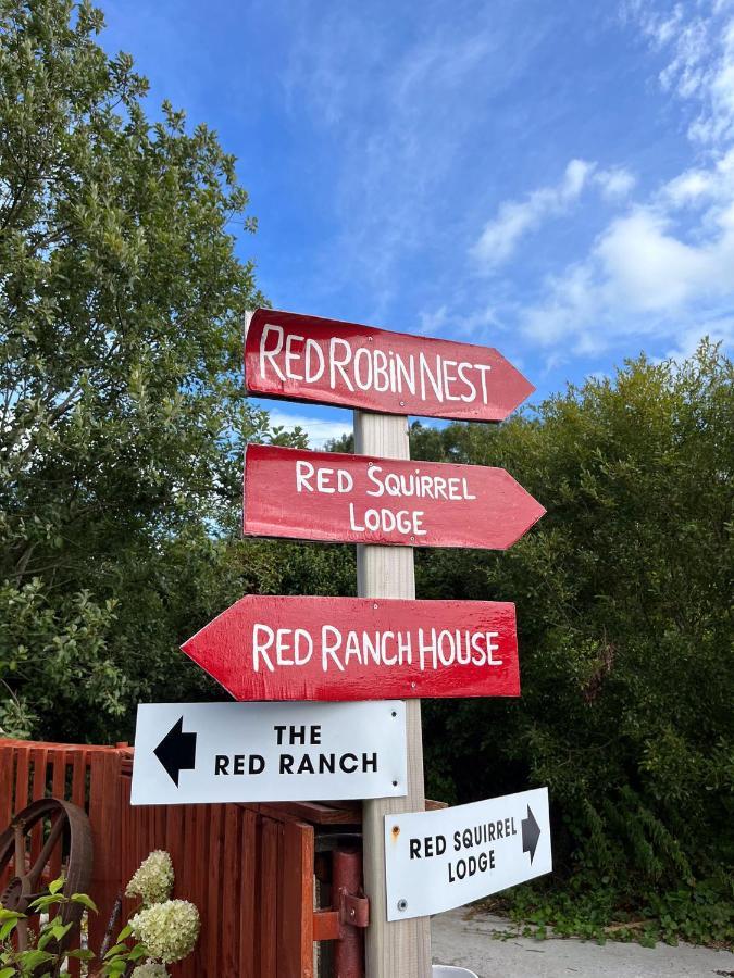 Red Squirrel Lodge Γκάλγουεϊ Εξωτερικό φωτογραφία