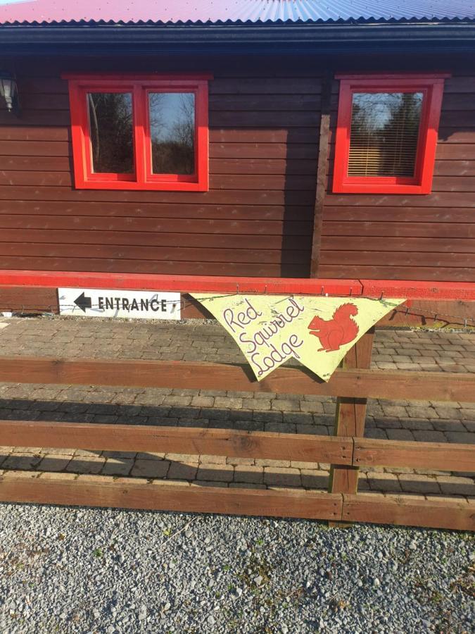 Red Squirrel Lodge Γκάλγουεϊ Εξωτερικό φωτογραφία