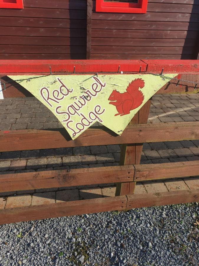 Red Squirrel Lodge Γκάλγουεϊ Εξωτερικό φωτογραφία