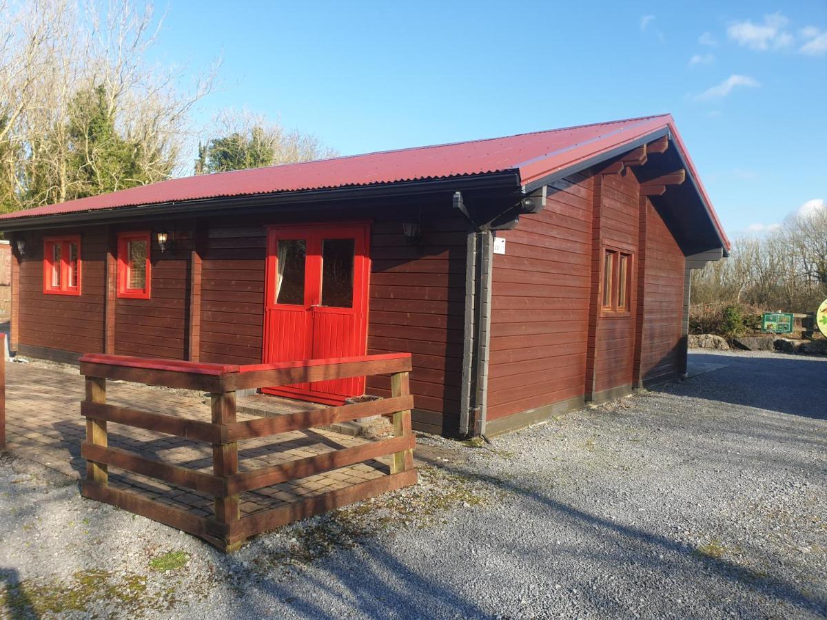Red Squirrel Lodge Γκάλγουεϊ Εξωτερικό φωτογραφία
