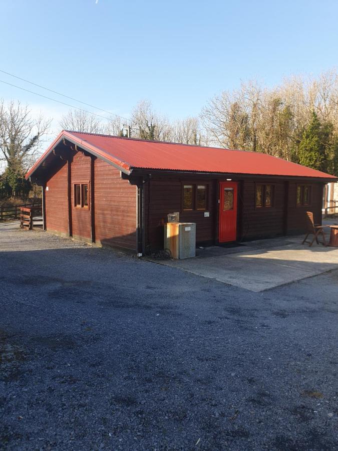 Red Squirrel Lodge Γκάλγουεϊ Εξωτερικό φωτογραφία